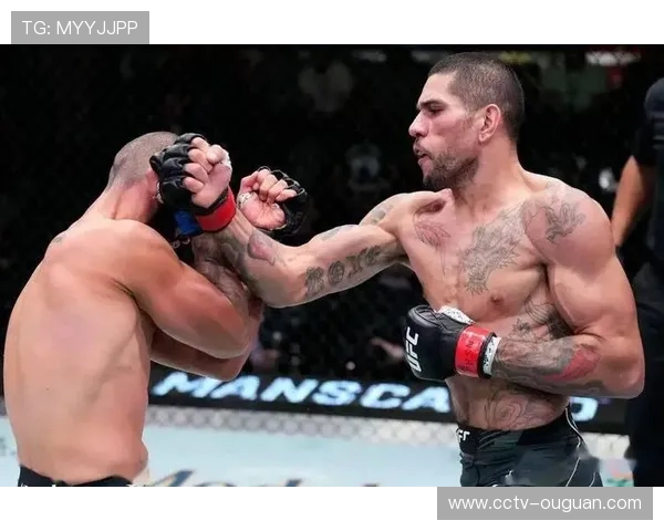 专家热议佩雷拉与奇马耶夫潜在对决，风格匹配度成关键